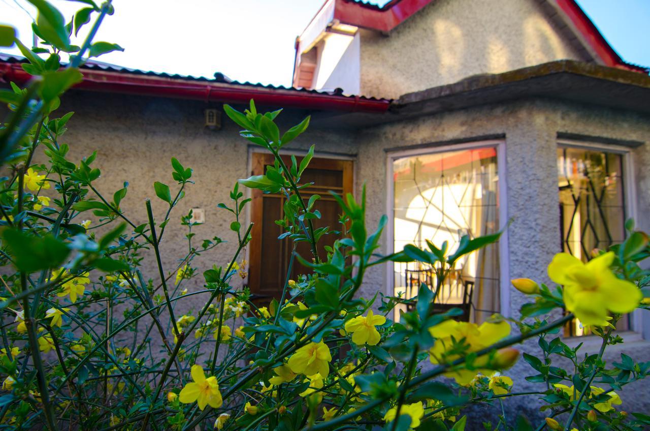 Villa Open View Estate Ranikhet Exterior foto